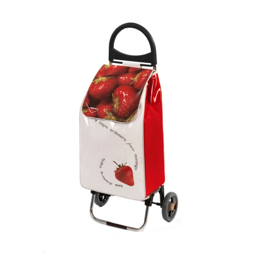 Carrello Portaspesa due Ruote 50l - modello City di Aurora 100% Alluminio