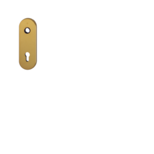 Placca Corta Hoppe M3218K Oro